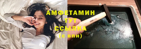 ПСИЛОЦИБИНОВЫЕ ГРИБЫ Дмитров